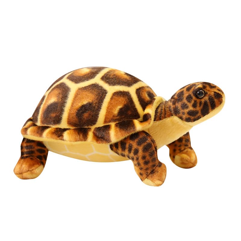 30cm Kuscheltier Emulation Schildkröten Plüschtier, Entzückende Schildkröten,Schildkröten Puppe,Schildkröten Kissen,Schildkröten Dekorationen