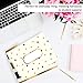 BARKER CREEK Designer File Folders Set of 12, Gold, Multi-Design Set with Gold on Outside, Cream on Inside, Letter-Size 1/3 Cut Tabs, Pack of 12 (1337)