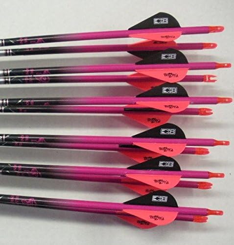 Gold Tip XT Hunter 5575/400 Carbon Arrows w/Blazer Vanes Silver Knight Wraps 1Dz.