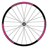 Komplettes Set für 2 Räder und 4 Seiten (komplettes Set für 1 Fahrrad)