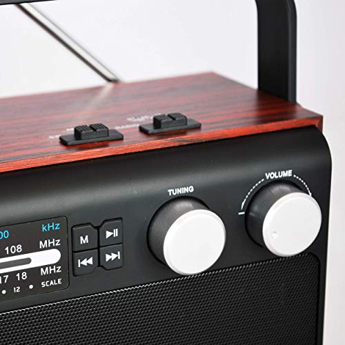 Goldship Cx-1489 Radio Bluetooth 6 In 1 - Vintage