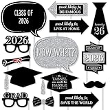 Big Dot of Happiness Graduation Party - Silver - 2019 Grad Photo Booth Props Kit - 20 Count