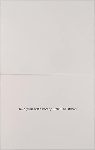 Miniatura 4 de NIQUEA.D Juego de tarjetas de Navidad en caja, cachorros fotográficos, incluye un sobre de sentimiento festivo y a juego, juego de 10 (NXB-0009),