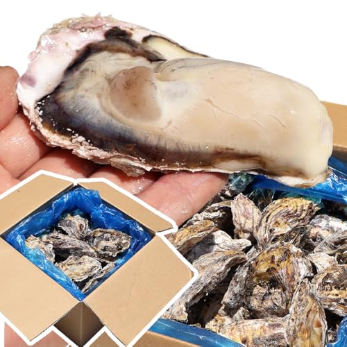 VIVID LIFE 牡蠣 冷凍 生食用 4kg 24?48個 殻付き 冷凍かき 生牡蠣 牡蠣小屋の牡蠣 かき 牡蛎 カキ 宮城県 三陸 海鮮 刺身 産地直送