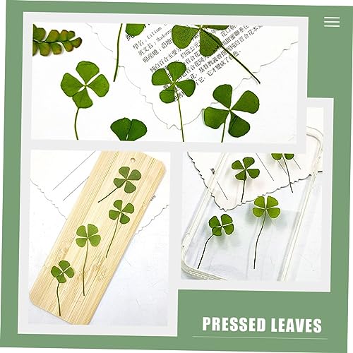 Dried Four Leaf Clover para Manualidades 24 piezas miniatura 3