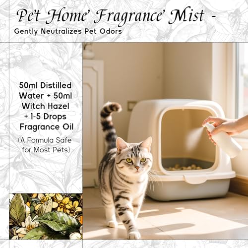 Image of HIQILI Osmanthus Fragrance Oil for Diffuser, DIY Women Perfume - 5.07 Fl Oz | Long-Lasting Scent for Body Spray, DIY Candle & Soap, Pet Safe, Graduated Dropper Included