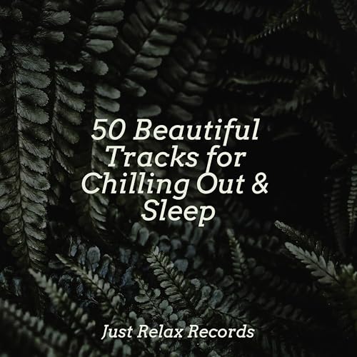 Play 50 Beautiful Tracks for Chilling Out & Sleep by Sonidos de la ...