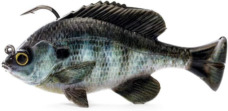 Savage Gear Pulse Tail Bluegilll 4" RTF (Vivid Gill) 2537,One Size : Sports & Outdoors