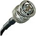 RF/Coaxial Cable Assembly, BNC Straight Plug, BNC Straight Plug, Belden 8218, 75 ohm, 3 ft