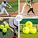 WIGERLON Baseball Caddy Softball Caddy，Pickleball Coddy Stand Tennis Balls Bucket Foldable and Portable, Easy to Install