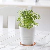 Vista 7 de Platillos redondos de corcho y plástico de 4 pulgadas para plantas, juego de 6 para jardinería, ollas y sartenes calientes