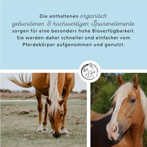 Mineralfutter Pferde organisch getreidefrei 3 kg - getreidefreies Ergänzungs Pferdefutter mit Vitaminen, Mineralstoffen und Spurenelementen, wie Zink, Selen, Omega 3 und Jod (3 kg Eimer)