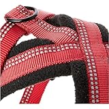HALTI Comfy Hundegeschirr - Fleecefutter mit 3M-Reflektorgewebe, Befestigung vorne und hinten für zusätzliche Kontrolle mit einer Hundeleine. Geeignet für kleine Hunde und Welpen (Größe S)