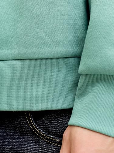 JACK & JONES Jjelogo Sweat Hood 2 Col 25/26 Noos – Ansicht 2
