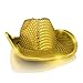 blinkee LED Flashing Cowboy Hat with Gold Sequins
