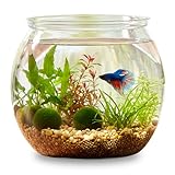 InnoHHustle Mini Plastic Fish Bowl 30 oz Decorative Small Fish Tank Unbreakable Aquarium Starter Kit for Centerpiece Vases Party Decorations