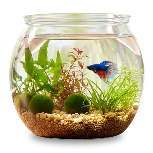InnoHHustle Mini Plastic Fish Bowl 30 oz Decorative Small Fish Tank Unbreakable Aquarium Starter Kit for Centerpiece Vases Party Decorations
