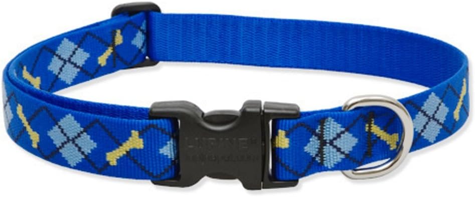 LupinePet Originals 1″ Dapper Dog 12-20″ Adjustable Collar for Medium and Larger Dogs