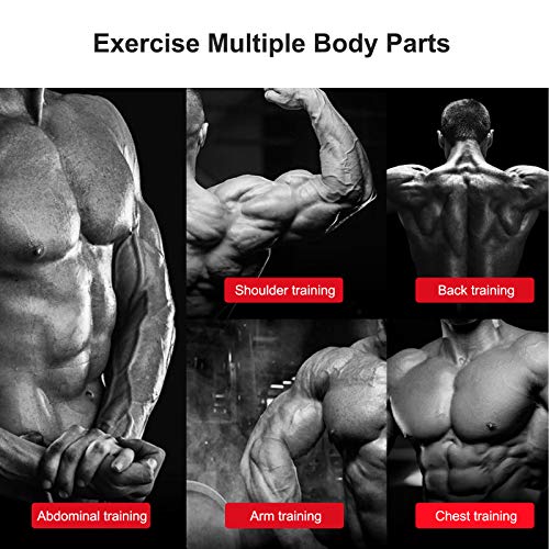 PITHAGE Weight Bench Adjustable Exercise Benches Strength Training Benches Press for Home Gym Full Body Workout Flat Incline Decline Utility Bench