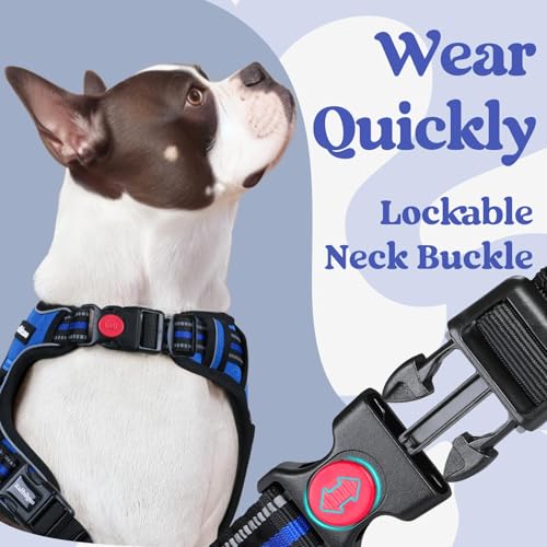 rabbitgoo Dog Harness for Large, Updated Easy On & Off with 3 Buckles | No Pull No Choke, Walking with 2 Clips and Handle, Adjustable Soft Reflective, Blue, Large - Image 3