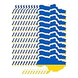 5. Versátil: Adecuado Compatible con la mayoría de las superficies limpias y lisas. Ampliamente utilizado en automóviles, camiones, monopatines SUV, computadoras portátiles, etc. También es un gran regalo que usted mismo puede dar a familiares y amigos.