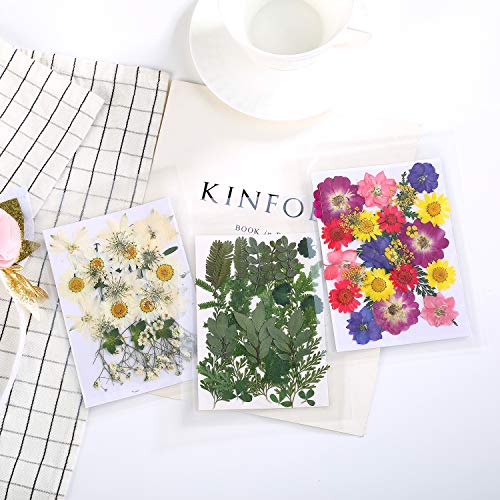 42 Pcs Real Dried Pressed Leaf Flowers Plant Herbarium For Craft Resin Jewelry Making (Green Leaf) #TOP6