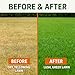 GS Plant Foods Green Envy Liquid Lawn Food – Fall & Winter Lawn Prep Fertilizer for Strong Roots and Resilient Grass, Suitable for Organic Growing (1 Gallon)
