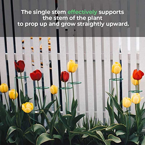 image for Greenpeas Plant Stake Support - 3-Inch Diameter Steel Support Stands w