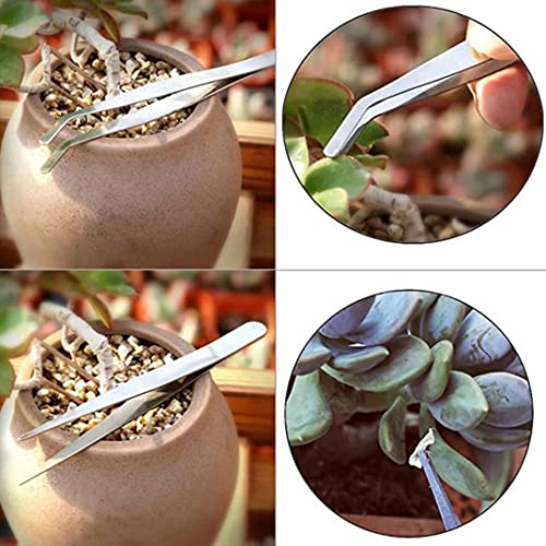 Set de herramientas para plantas suculentas 14 piezas miniatura 7
