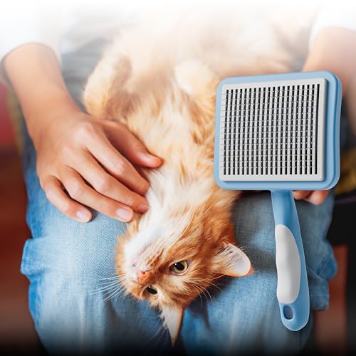 Image of Cat Brush with One-Click Button, Cat Brushes for Indoor Cats Shedding，Self Cleaning Slicker Cat Brush for Shedding Massaging Grooming, Suitable for Long Short Haired Pets, Comfortable /Easy to Clean