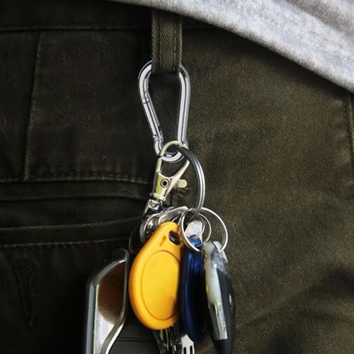 12 Stück Karabinerhaken, Karabiner belastbar bis 180kg,φ6x60mm,verzinkt, belastbar Karabinerhaken Schlüsselanhänger,Karabiner mit Federhaken,für Rucksack, Hundeleine, Camping, Reisen, Wandern etc