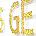 Let's Get Lit Gold Glitter Letters Banner, Funny Birthday, Bachelorette Wedding, Engagement Party Decorations