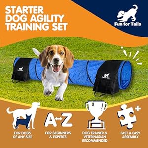Starter Dog Agility Training Equipment Set with Dog Training Toys for Agility, Includes Treat Bag, Rope, Tennis Ball Toy - Perfect Dog Agility Course Backyard Set Starter Dog Agility Training Equipment Set with Dog Training Toys for Agility Includes Treat Bag Rope Tennis Ball Toy Perfect Dog Agility Course Backyard Set