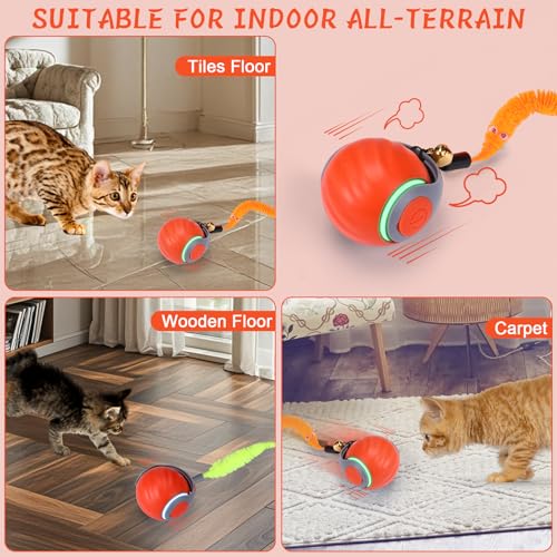 image for BABORUI Interactive Cat Toy Ball - Automatic Interactive Cat Toys for 