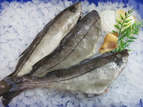 GreetFish Schellfisch, Schellfisch (ohne Kopf), küchenfertig, vakuumiert, 1000g