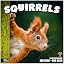 09 - Squirrels