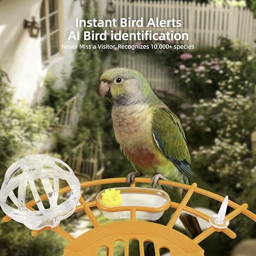 Bird Feeder with Camera,AI Identify Birds Species,Solar Powered,Auto Record Videos in Backyard,Instant Notifications,Ideal Gift for Family and Bird Lovers (Orange) — view 2