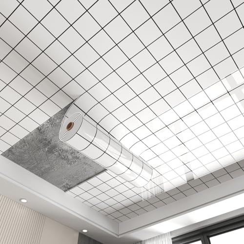 VǎASV^CAJbgEڒE\tȒPA_EЂъh~AQELb`ErO[̎ɍœKi2.6mmj