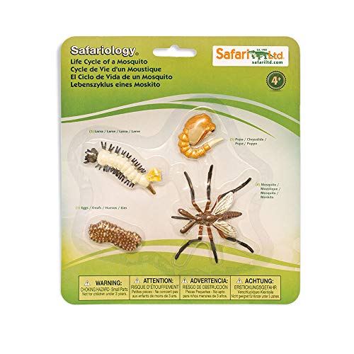 Safari Ltd. Life Cycle of a Mosquito - Educational Toy Figurines - Miniature Insect Lifecycle Collection for Boys, Girls & Kids Age 4+
