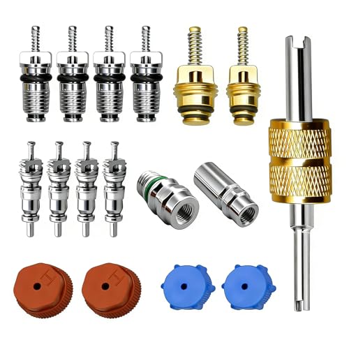 Teybouk 17 PCS AC Valve Core Kit for R12/R134a Conversion