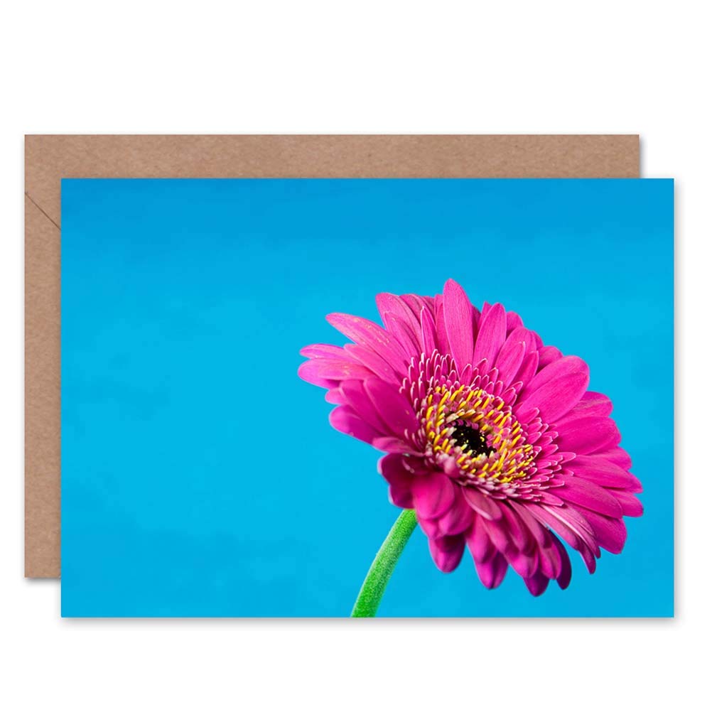 Wee Blue Coo Gerbera Daisy Floral Thank You Card
