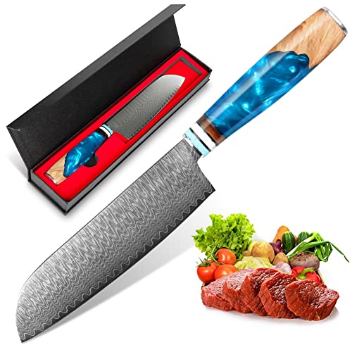 Home Safety Damast Santokumesser, Japanisches Kochmesser aus 67 Schichten Damaststahl, 17,5 cm Klingenlänge Küchenmesser, Damastmesser mit Ergonomischer Blauer Harzgriff für Haushalt/Restaurant Cover