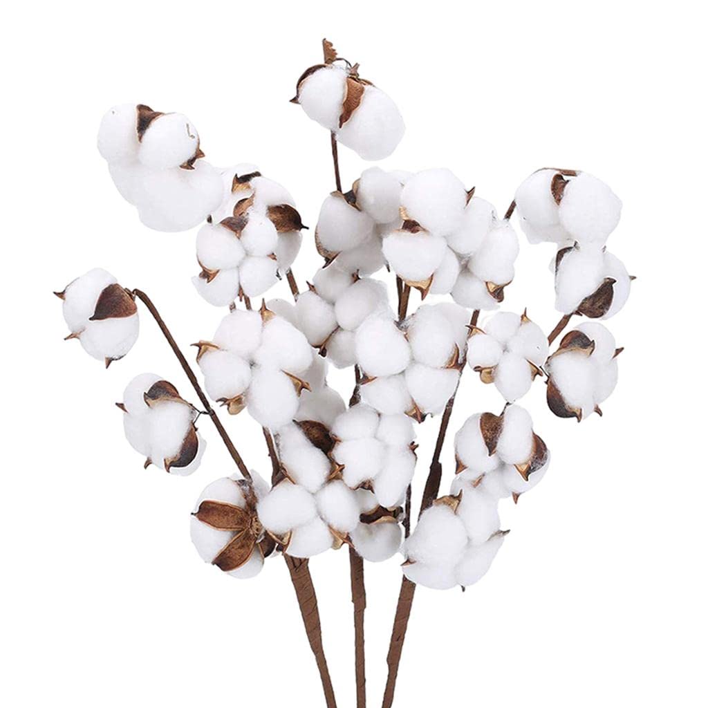 Natural Dried Cotton Flower Stem Floral Branch for Home Decor 7 Bolls 6pcs