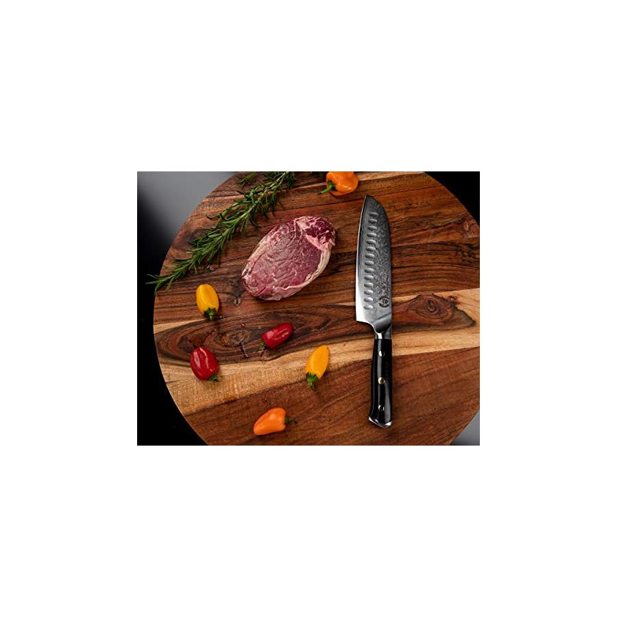 Santoku chef Knife 7 inch: Best professional scalloped hollow (granton) edge Japanese AUS-10 67 layer Damascus steel ultra sharp blade w/G-10 Ergonomic handle by the Regalia Knives