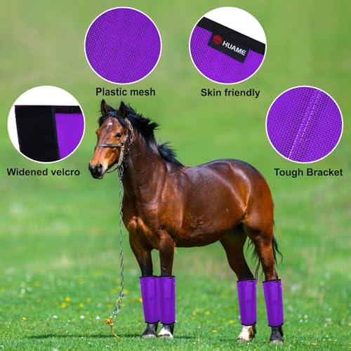 Image of Horse Fly Boots, Breathable Mesh Protection Set of 4, Comfortable Horse Leggings, Breathable Mesh Design, Equine Supplies for Reduce Stomping, Hoof Damage & Leg Fatigue (Purple, Large)
