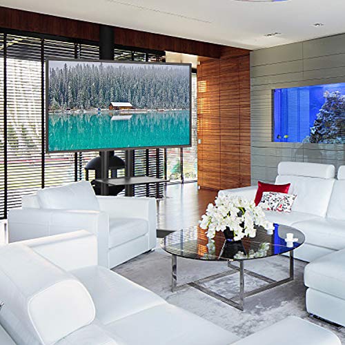 Abccanopy Mobile Tv Cart With Wheels And Adjustable Shelf Rolling Trolley Mount Tv Stand For 32-65 Inch Lcd Led Flat Screen Tv,Plasma Tvs Tv Monitors #TOP4