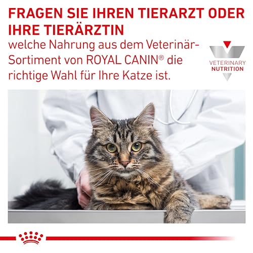 Royal Canin Veterinary Gastrointestinal | 2 kg | Trockenfutter für Katzen | Kann unterstützend helfen bei gastrointestinalen Erkrankungen bei Katzen | Hohe Akzeptanz