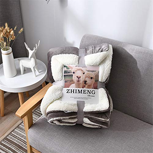 YCDZ Manta De Algodón Puro, Manta De Cachemir De Franela para Ropa De Cama, Microfibra, Manta Cálida Súper Suave Y Esponjosa, Manta De Terciopelo (Gris-Plata,100 x 120 cm)