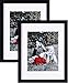 Tasse Verre 9x12 Inch Picture Frame Black (2-Pack) - HIGH Definition Glass Front Cover - Displays 9 by 12" Picture w/o Mat or an 6x8 Photo w/Mat - Vertical or Horizontal Mounts & Comes Ready to Hang