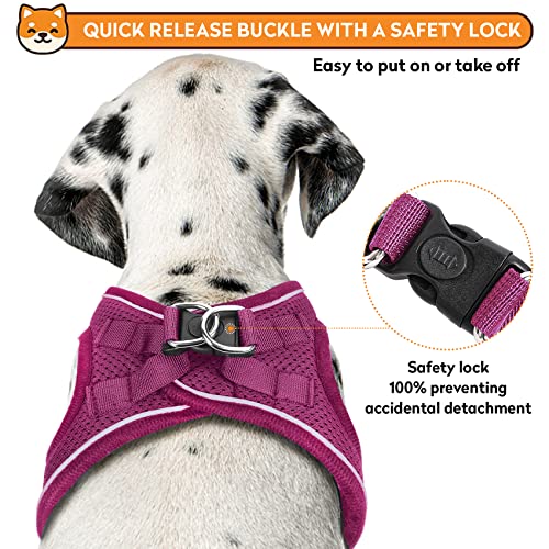 Dog-Harness-with-Leash-SetNo-Pull-Pet-Harness-with-2-Leash-Clips-Adjustable-Soft-Padded-Dog-Vest-for-Extra-SmallSmall-Medium-Large-Dogs-and-CatsRedMedium - Cucciolini Doodles   Dog-Harness-with-Leash-SetNo-Pull-Pet-Harness-with-2-Leash-Clips-Adjustable-Soft-Padded-Dog-Vest-for-Extra-SmallSmall-Medium-Large-Dogs-and-CatsRedMedium